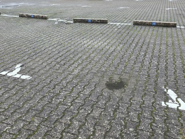 Ferienwohnung in Grömitz - Baltic 171 - Bild 16