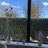 Ferienwohnung in Kellenhusen - Deichblick 2 3-0-03 - Bild 15