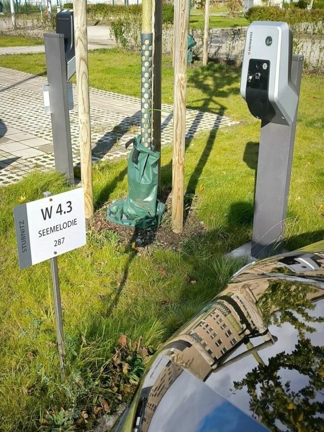 Ferienwohnung in Binz (Ostseebad) OT Prora - FeWo Seemelodie in PRORA - 9.43 - Bild 24