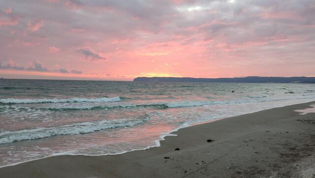 Ferienwohnung in Binz (Ostseebad) OT Prora - FeWo Treibholz in PRORA - 7.41 - Bild 12
