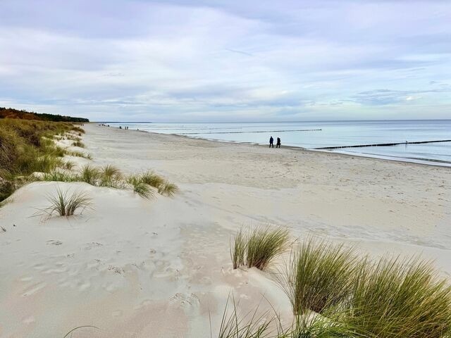 Ferienhaus in Ostseeheilbad Zingst - Am Deich 48 - Haus Sonne - Bild 20