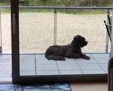 Ferienwohnung in Binz (Ostseebad) OT Prora - FeWo Loft Sturmm&ouml;we in PRORA - 4.12 - Bild 7