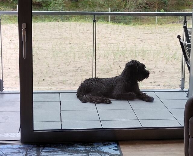 Ferienwohnung in Binz (Ostseebad) OT Prora - FeWo Loft Sturmm&ouml;we in PRORA - 4.12 - Bild 7