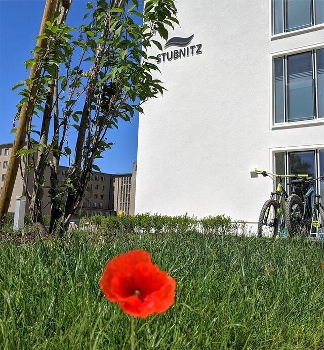 Ferienwohnung in Binz (Ostseebad) OT Prora - FeWo room-of-light in PRORA - 9.34 - Bild 20