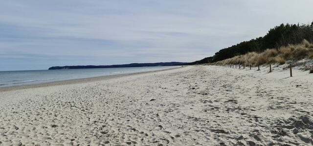 Ferienwohnung in Binz (Ostseebad) OT Prora - FeWo Meeresglück in PRORA . 7.37 - Bild 14