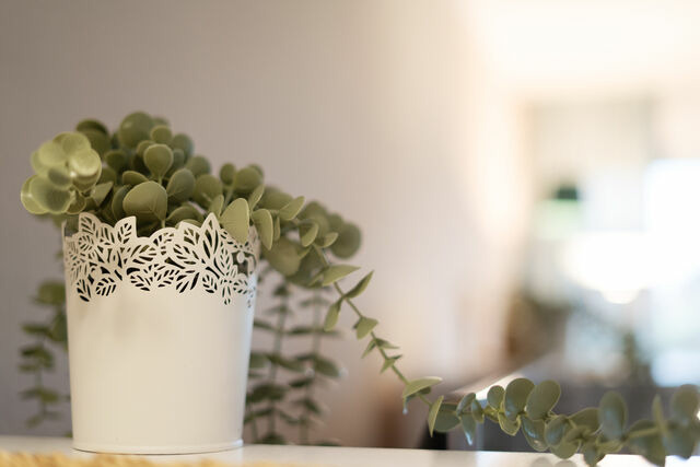 Ferienwohnung in Kellenhusen - Strandhotel Kellenhusen Strandhafen Rocksien - Bild 7