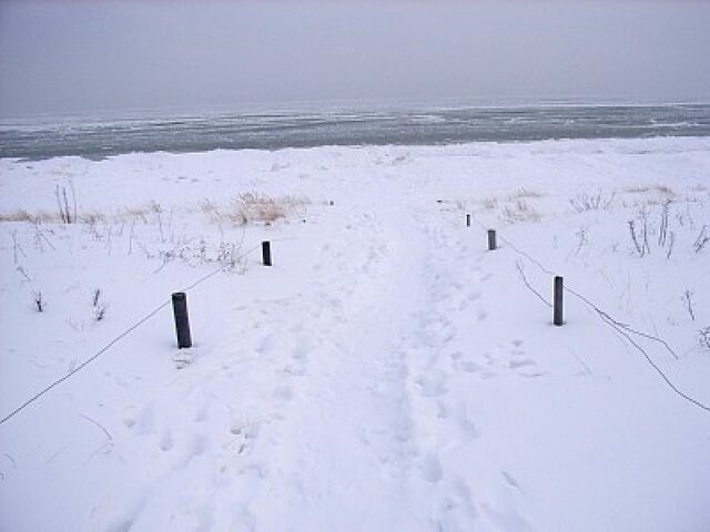 Ferienhaus in Baabe - D&uuml;nenblick 73a - Baabe - Bild 21