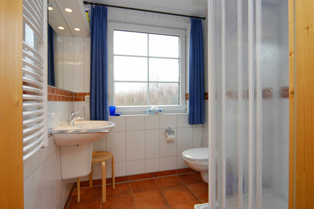 Ferienhaus in Ostseeheilbad Zingst - Strandmuschel - Bild 5