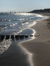 Ferienwohnung in Ostseeheilbad Zingst - Parkblick - Bild 15