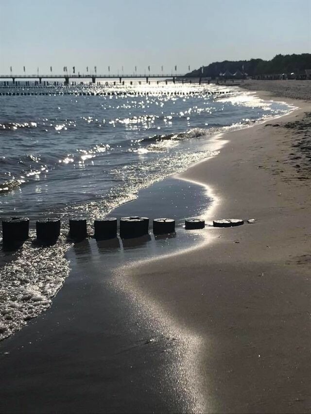 Ferienwohnung in Ostseeheilbad Zingst - Parkblick - Bild 15