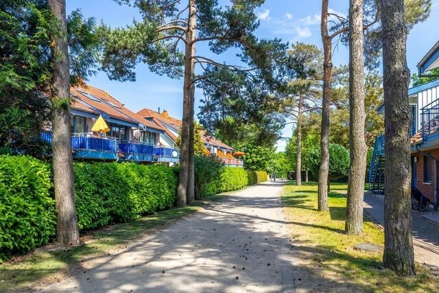 Ferienwohnung in Boltenhagen - Papillon 8-3 Wohnung Auszeit - Bild 17