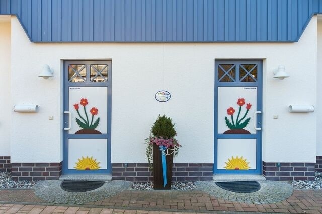 Ferienhaus in Ostseeheilbad Zingst - Sonnenschein - Bild 4