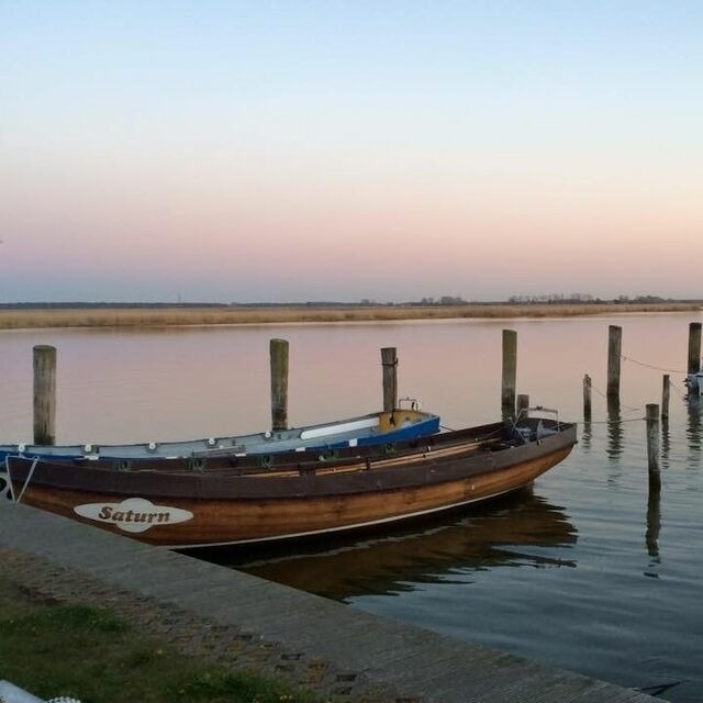 Ferienhaus in Ostseeheilbad Zingst - Walfisch - Bild 17