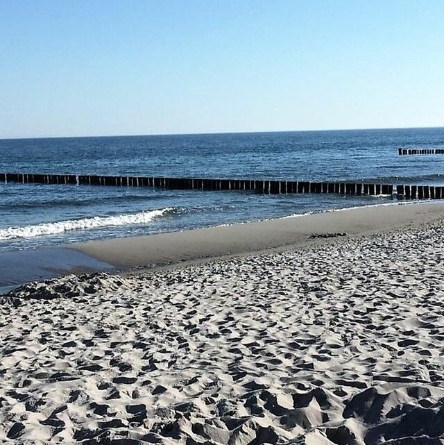 Ferienhaus in Ostseeheilbad Zingst - Meeresrauschen - Bild 24