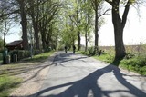 Ferienwohnung in Boltenhagen - Ferienwohnung Tilda - Bild 12
