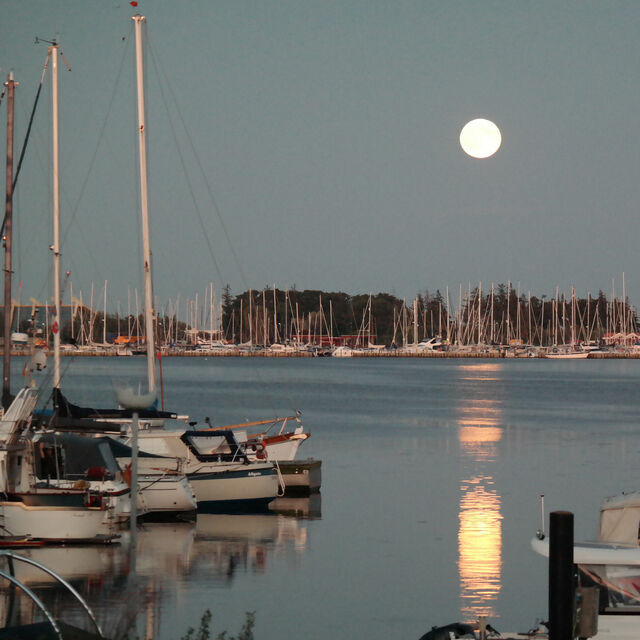 Ferienwohnung in Fehmarn OT Burgstaaken - Hausboot Kaddi`s SunDREAM - Huus & Meer - Burgstaaken - Bild 23