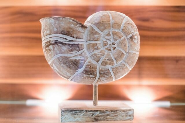 Ferienwohnung in Boltenhagen - Hanseresidenz I Whg. 05 - Bild 23