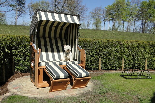 Ferienhaus in Ostseeheilbad Zingst - Seekieker - Bild 6