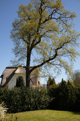 Ferienhaus in Boltenhagen - AHOl Ferienhaus - Bild 14