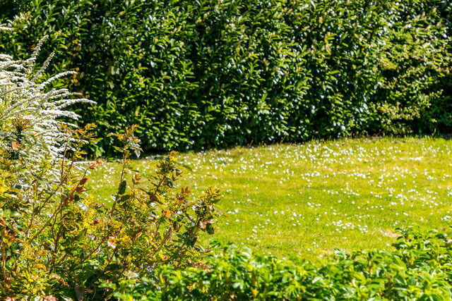 Ferienhaus in Boltenhagen - AHOl Ferienhaus - Bild 15