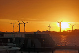 Ferienwohnung in Fehmarn - Hausboot Kaddi`s Sunshine - Huus & Meer - Bild 23