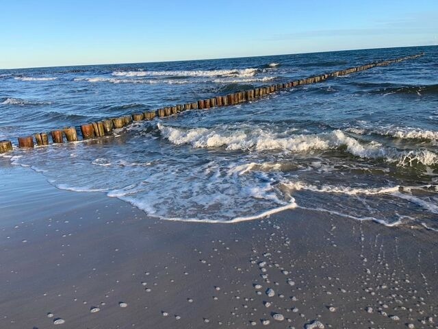 Ferienwohnung in Ostseeheilbad Zingst - Wiesenblick - Bild 16