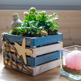 Ferienwohnung in Fehmarn OT Burgstaaken - Hausboot Kaddi`s Sunflower - Huus & Meer - Bild 17