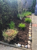 Ferienwohnung in Kellenhusen - Deichblick 1 2-0-04 - Bild 14