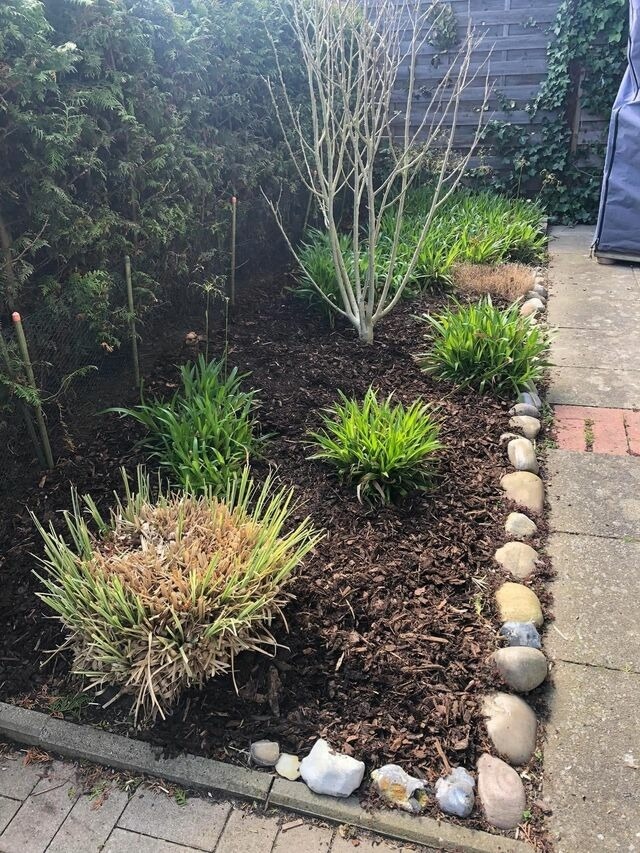 Ferienwohnung in Kellenhusen - Deichblick 1 2-0-04 - Bild 14