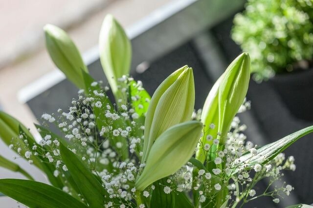 Ferienwohnung in Binz - Villa Strandidyll FeWo pier25 N&deg;1 - Bild 13