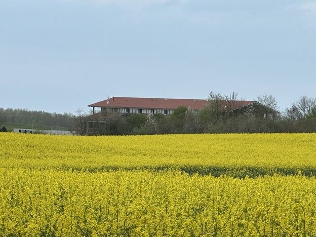 Ferienwohnung in Hohen Wieschendorf - Ostsee-Panorama No. 4 - Aurora Vista - ABC568 - Bild 18