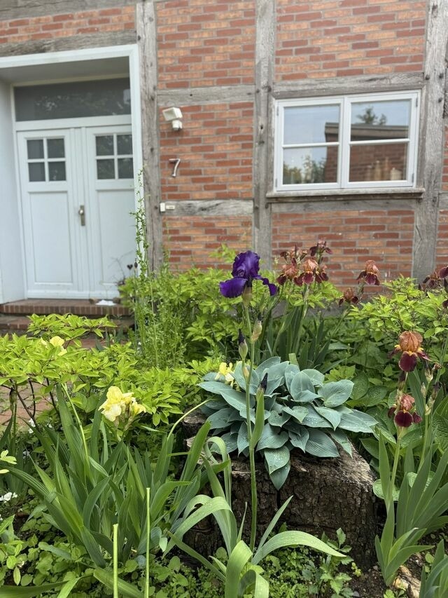 Ferienwohnung in Bad Kleinen - Kutscherremise Gut Niendorf - ABC592 - nur Ferieng&auml;ste! - Bild 20