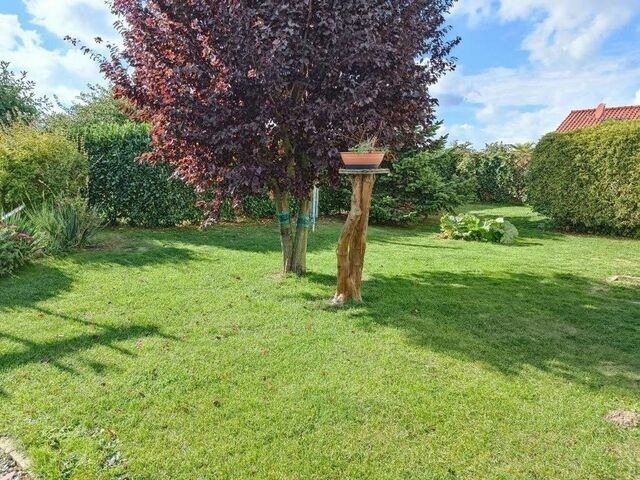 Ferienwohnung in Hohen Wieschendorf - Ferienwohnung 3 - Zur Schwedenschanze - ABC563 - Nur Ferieng&auml;ste! - Bild 16