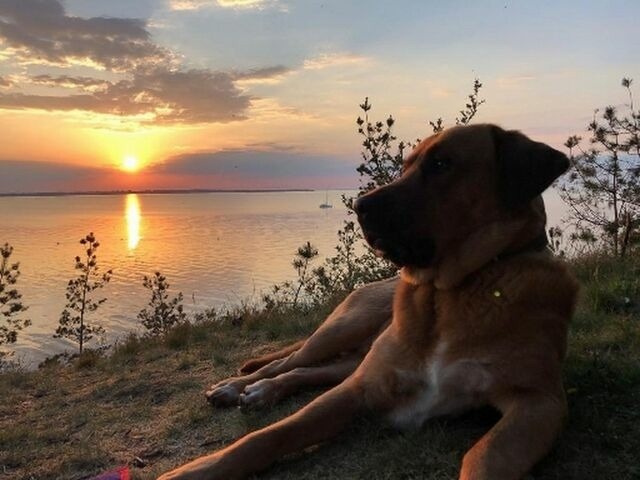 Ferienhaus in Hohen Wieschendorf - Strandhaus Fiete - Haus Walfisch - ABC330 - Bild 14