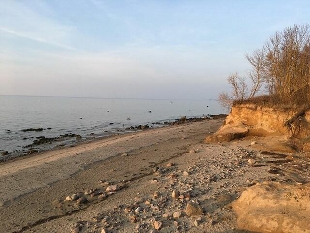 Ferienhaus in Hohen Wieschendorf - Strandhaus Fiete - Haus Walfisch - ABC330 - Bild 16