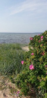 Ferienwohnung in Zierow - Leuchtturm am Strand - ABC56 - Bild 15