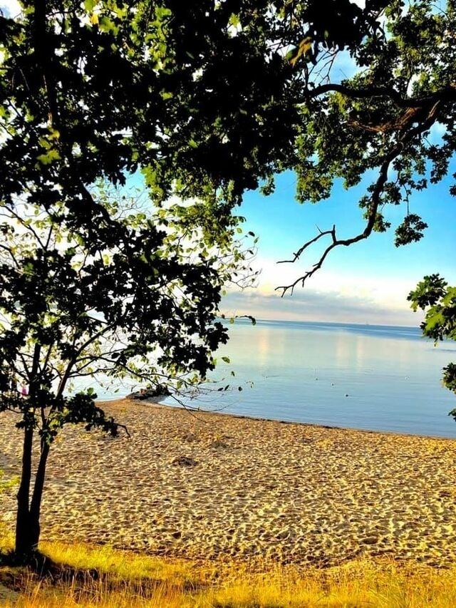 Ferienwohnung in Zierow - Leuchtturm am Strand - ABC56 - Bild 17