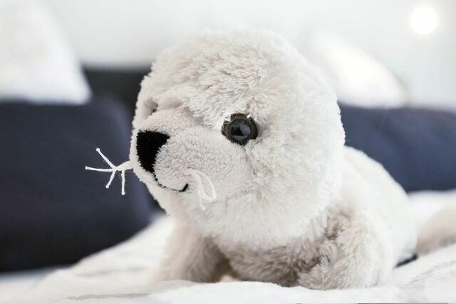 Ferienwohnung in Sellin - Villa Wiederkehr Einkehr - Bild 14