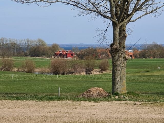 Ferienwohnung in Hohen Wieschendorf - Huk's 5 - Aurora Vista - ABC580 - Bild 17