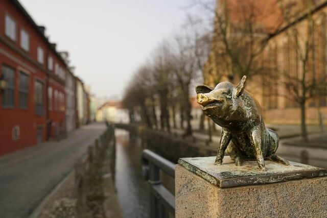 Ferienwohnung in Wismar - Gelbe Katze - ABC600 - nur Ferieng&auml;ste! - Bild 17