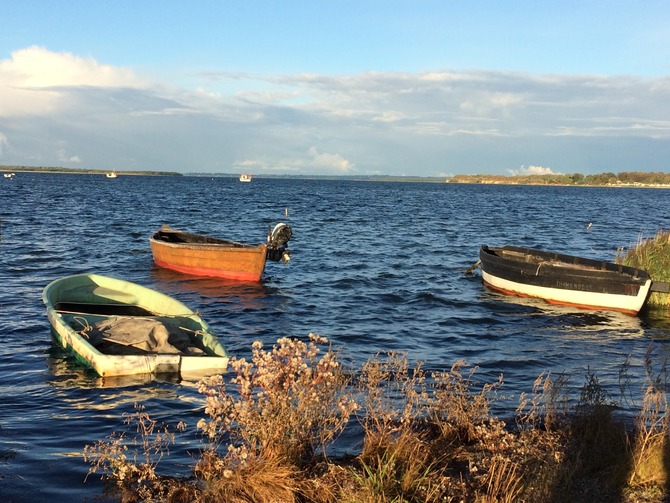 Ferienwohnung in Gollwitz - Spatzennest - Ostsee-Idyll