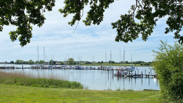 Ferienhaus in Kappeln OT Kopperby - Haus Schleiquartier - Bild 20