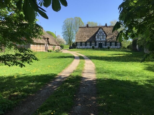 Ferienwohnung in Twedt - Hof L&uuml;cke - Ferienwohnung Blau - Bild 10