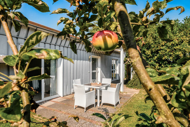 Ferienhaus in Niendorf/Ostsee - Haus am Hafen - Bild 2