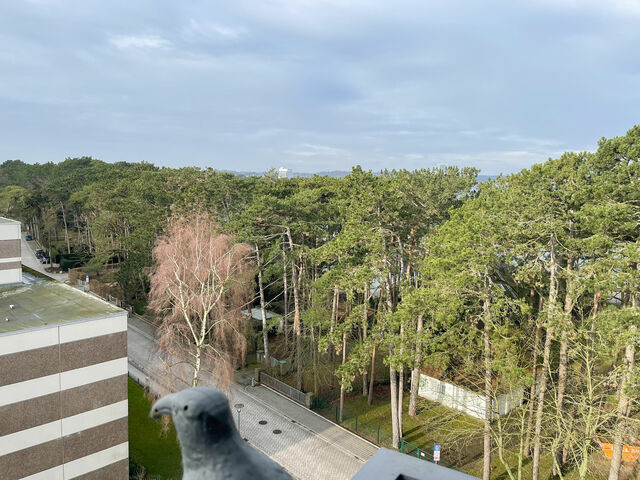 Ferienwohnung in Niendorf/Ostsee - Carpe Diem 203 - Bild 21