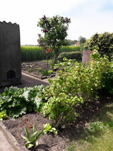 Ferienhaus in Fehmarn - Sundbude - Bild 17