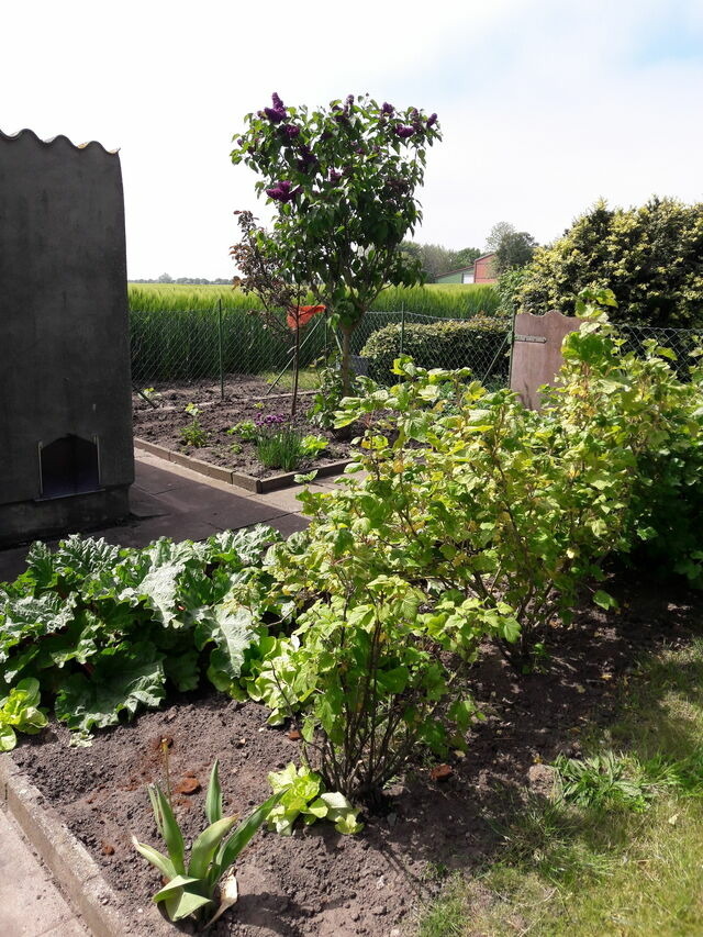 Ferienhaus in Fehmarn - Sundbude - Bild 17