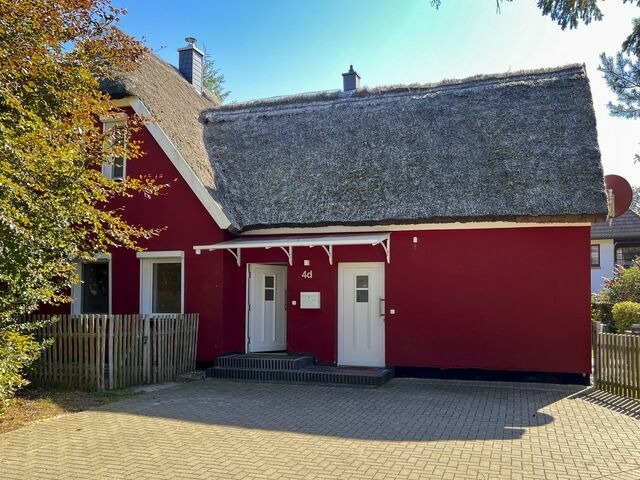 Ferienhaus in Zingst - Reetzeit 1 - Bild 3