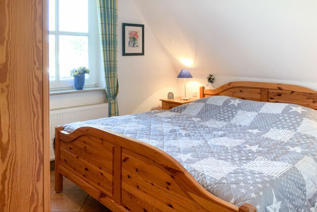 Ferienwohnung in Zingst - Windfl&uuml;chter 1 - Bild 5