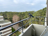 Ferienwohnung in Niendorf/Ostsee - Appartment am Meer 202 - Bild 9